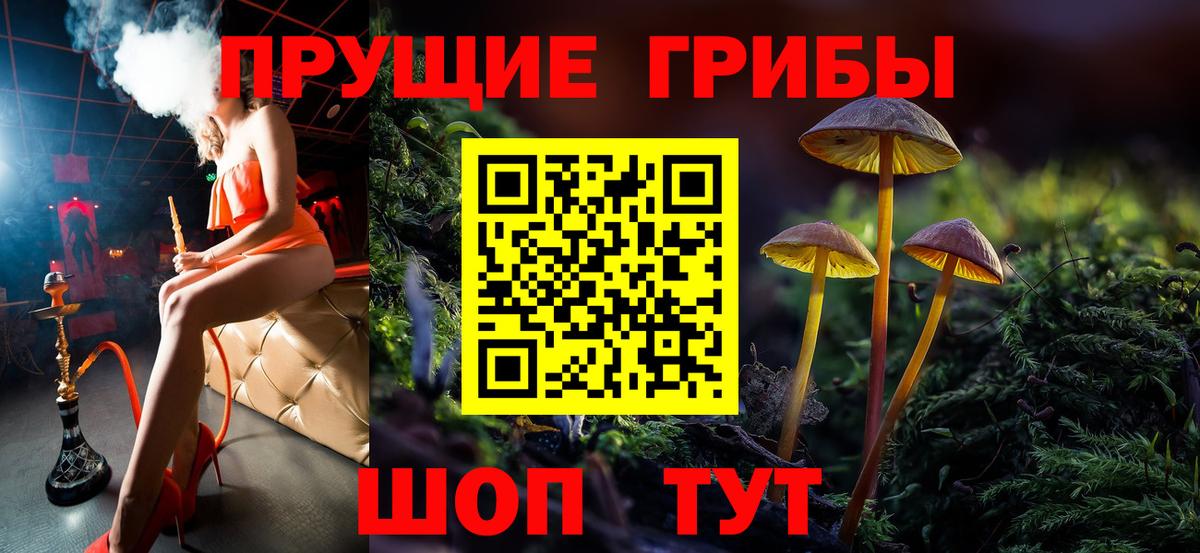 Галлюциногенные грибы Cubensis Россия