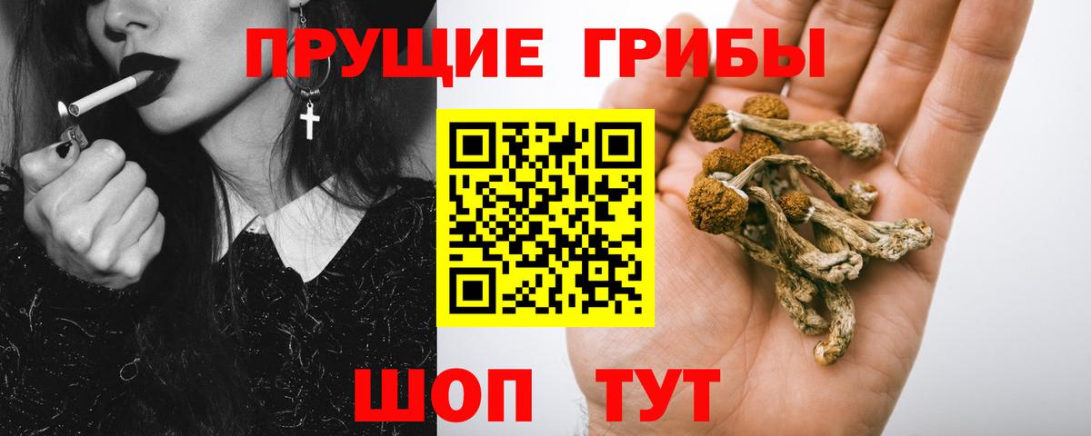 Галлюциногенные грибы прущие грибы  Вход с VPN  Россия 
